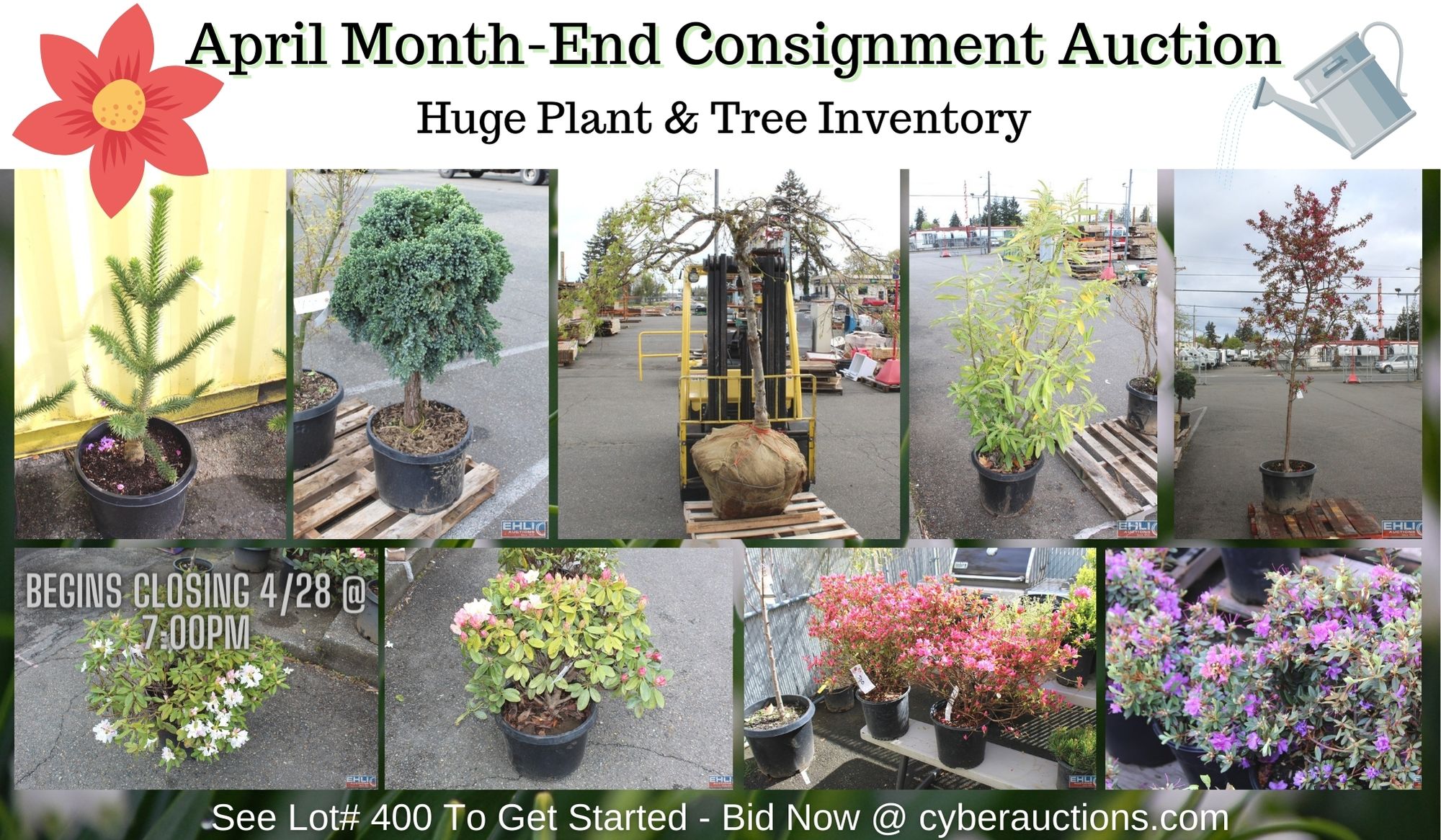 Copy of Featured Item (4)